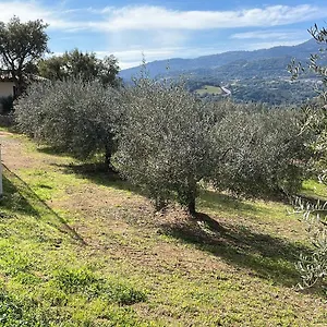 Vigna De' Luceri Loceri
